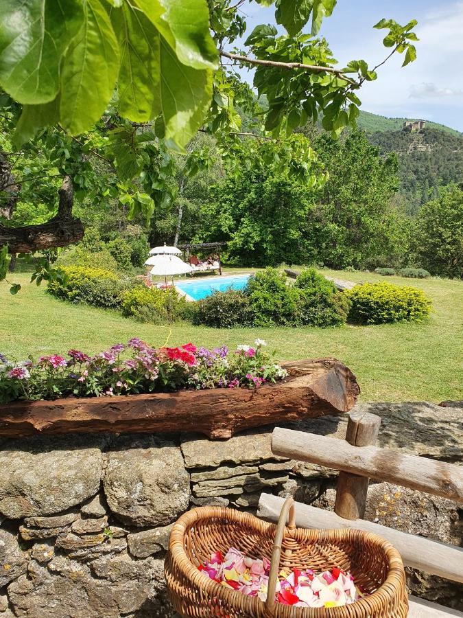 Mas Des Terrasses Villa Aujac  Kültér fotó